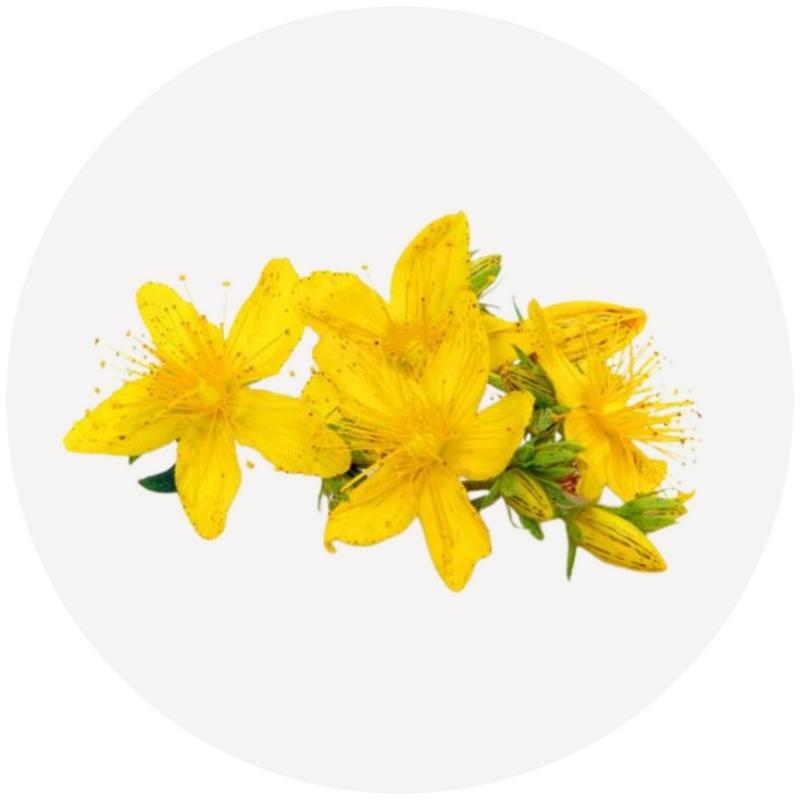 St. John's Wort